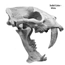 Hoplophoneus primaevus Skull - Solid Color Replica