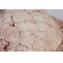 Hypselosaurus priscus Egg Clutch - Display Replica