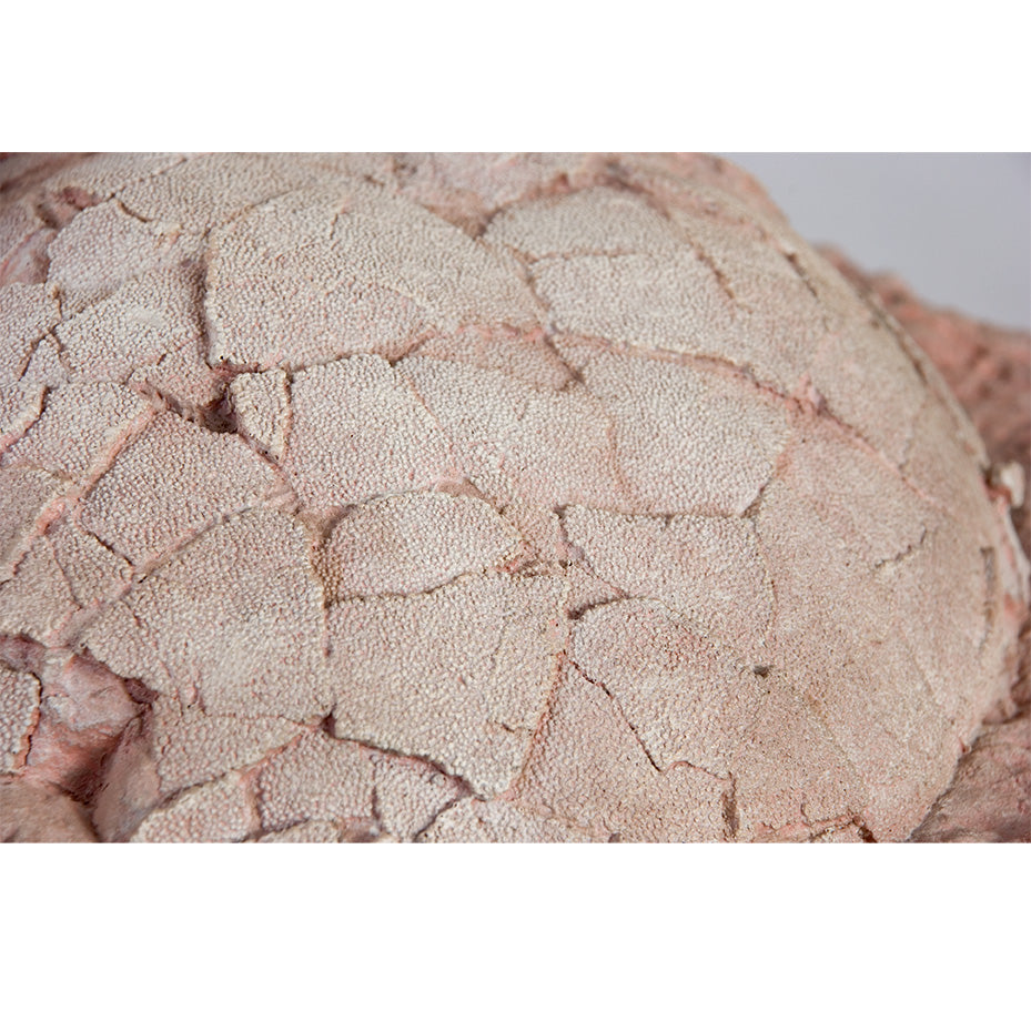 Hypselosaurus priscus Egg Clutch - Display Replica