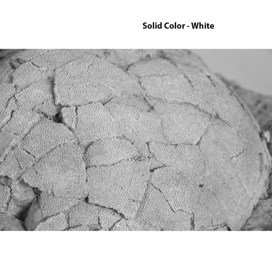 Hypselosaurus priscus Egg Clutch - Solid Color Replica