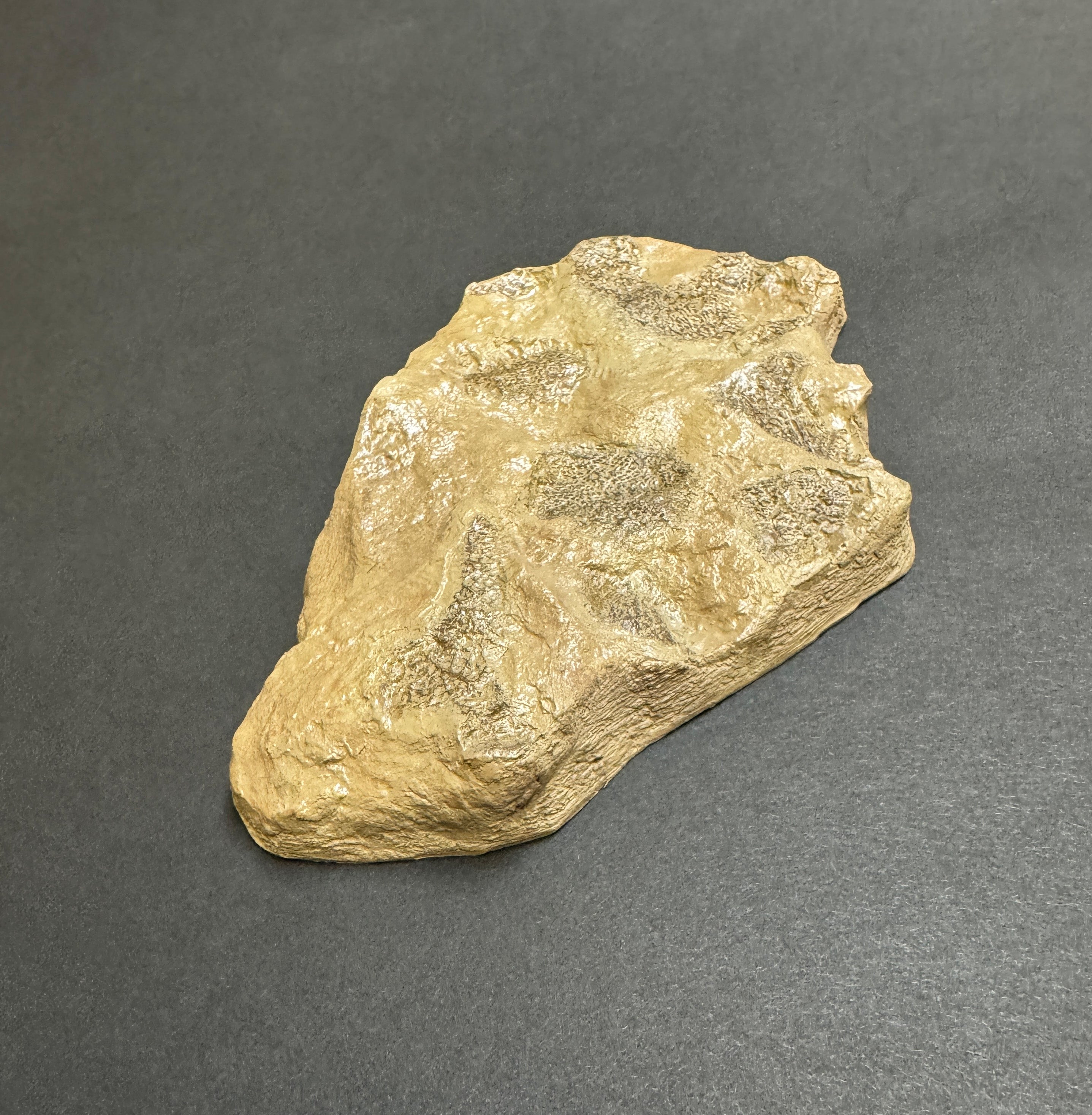 Tyrannosaurus rex Wyrex Skin Impression - Display Replica