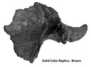 Triceratops horridus Juvenile Supraorbital Horn - Solid Color Replica