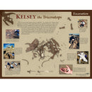 Triceratops horridus KELSEY Excavation Poster