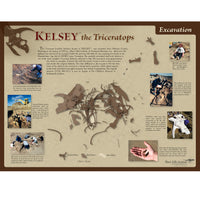 Triceratops horridus KELSEY Excavation Poster