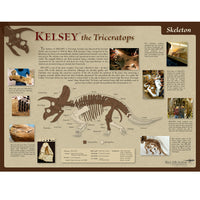 Triceratops horridus KELSEY Skeleton Poster