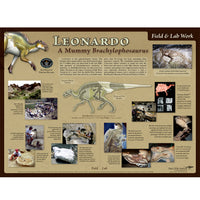 Brachylophosaurus canadensis LEONARDO - Field & Lab Poster
