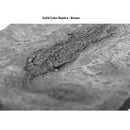 Neusticosaurus edwardsii sp. Skeleton on Slab - Solid Color Replica