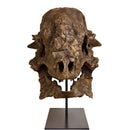 Pachycephalosaurus wyomingensis Skull - Lance Fm Specimen - Display Replica
