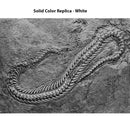 Pachyophis woodwardi Skeleton on Slab - Solid Color Replica