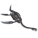 Plesiosaurus cf. dolichodeirus Skeleton - Display Replica