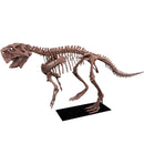 Psittacosaurus lujiatunensis Adult Skeleton - Display Replica