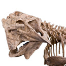 Psittacosaurus lujiatunensis Adult Skeleton - Display Replica