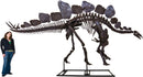 Stegosaurus armatus SARAH Skeleton - Display Replica