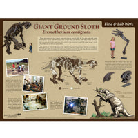 Eremotherium eomigrans Giant Ground Sloth - Field & Lab Poster