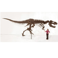 STAN Tyrannosaurus rex®  Catalog Photo
