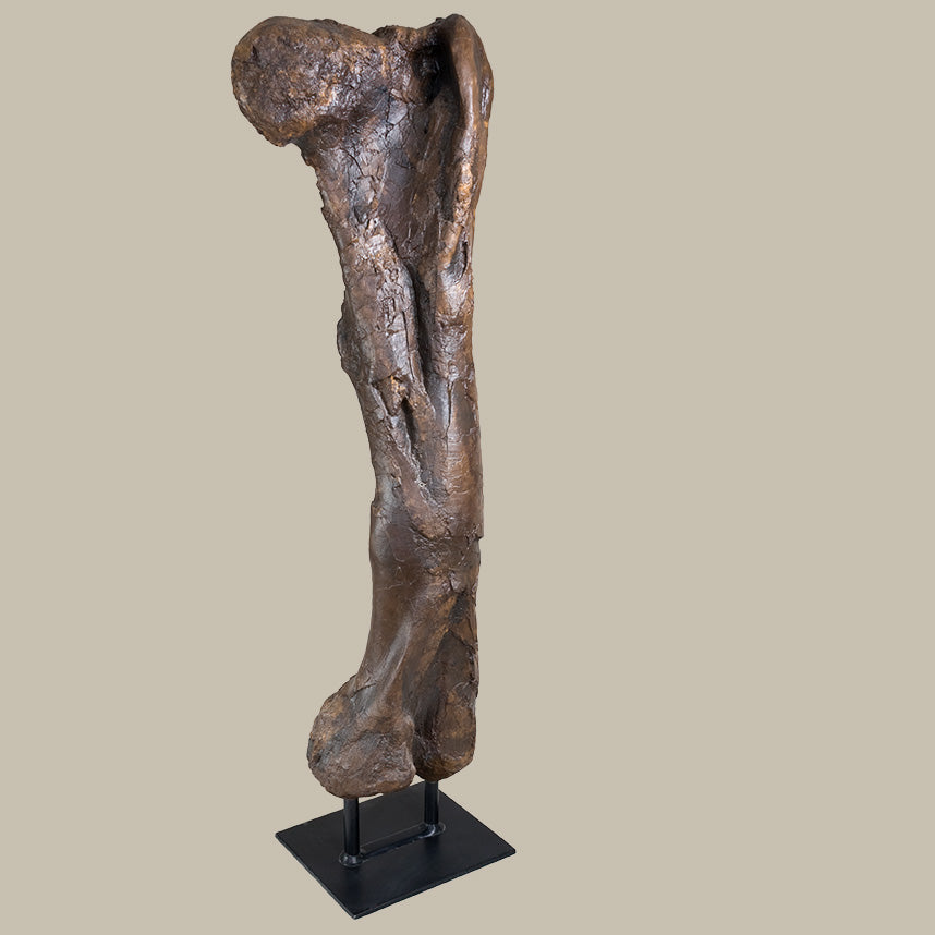 Tyrannosaurus rex Left Femur - Gracile (Male) on Steel Base - Display Replica