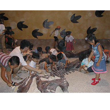 STAN Tyrannosaurus rex® Children's 'Dig' - Display Replica