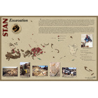 STAN Tyrannosaurus rex®  Skeleton - Excavation Poster