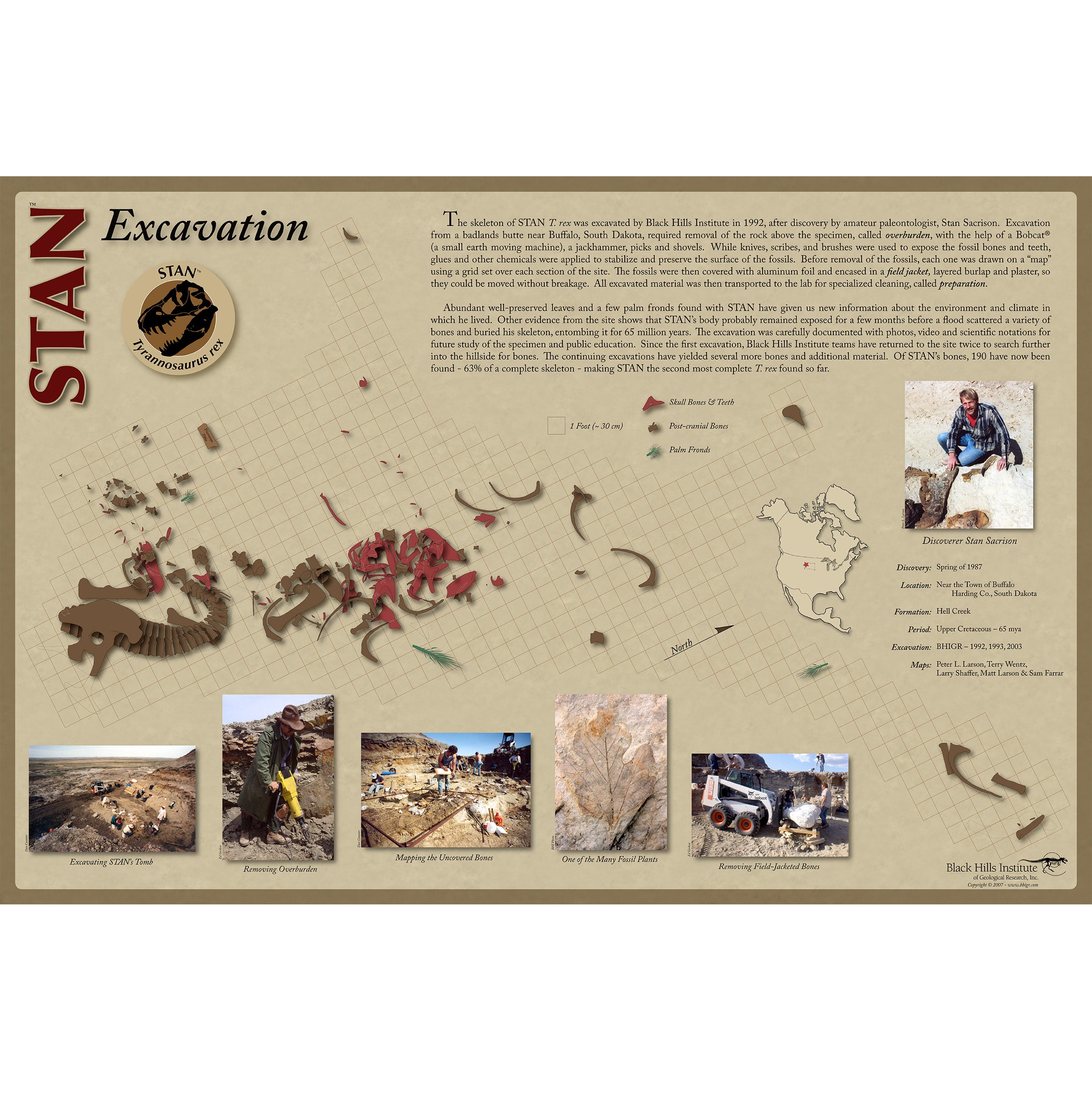 STAN Tyrannosaurus rex®  Skeleton - Excavation Poster