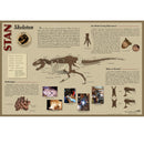 STAN Tyrannosaurus rex®  Skeleton Poster