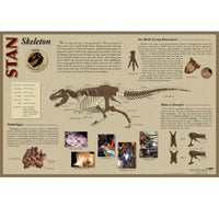 STAN Tyrannosaurus rex®  Skeleton Poster