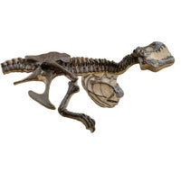 STAN Tyrannosaurus rex® Children's 'Dig' - Display Replica