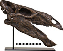 Stegosaurus stenops Skull - Display Replica