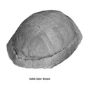 Stylemys nebrascensis - Small Tortoise - Solid Color Replica