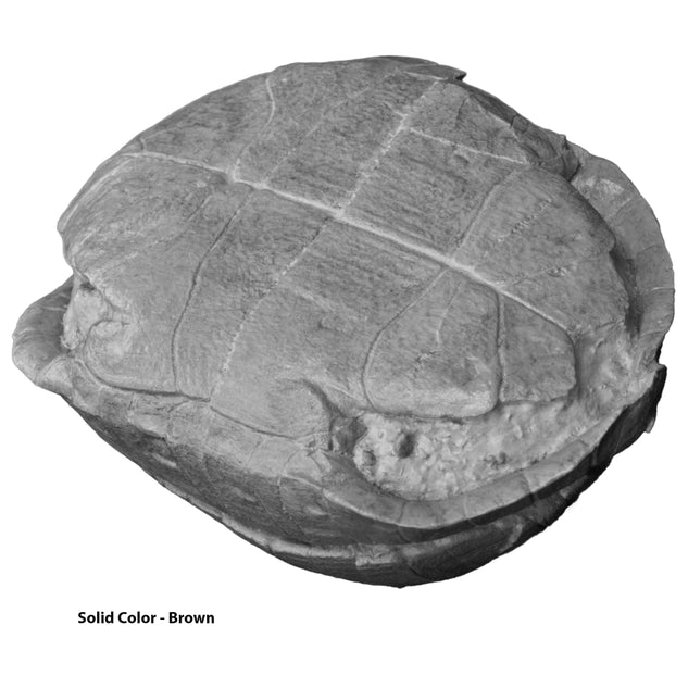 Stylemys nebrascensis - Small Tortoise - Solid Color Replica