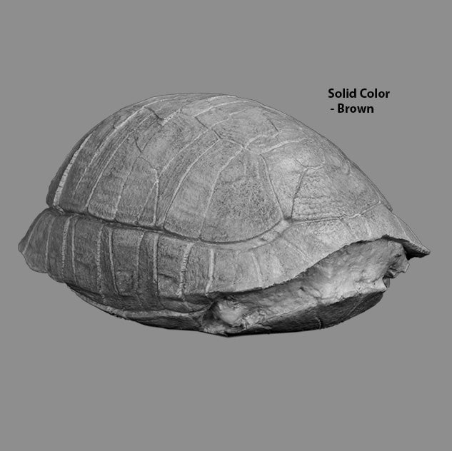 Stylemys nebrascensis - Small Tortoise - Solid Color Replica