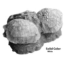 Testudo sp. Set of Three In Situ - Solid Color Replica