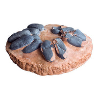 Theropod Dinosaur Egg Clutch - Display Replica