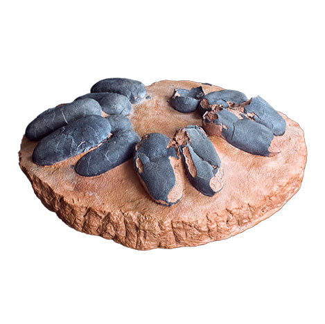 Theropod Dinosaur Egg Clutch - Display Replica