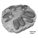 Theropod Dinosaur Egg Clutch - Solid Color Replica