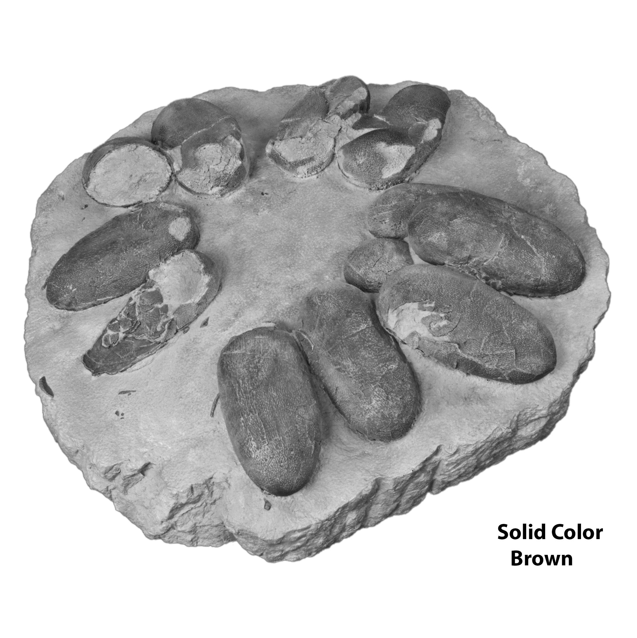 Theropod Dinosaur Egg Clutch - Solid Color Replica