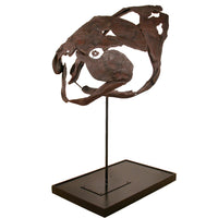 Titanichthys sp. Skull - Display Replica