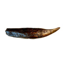 SUE Tyrannosaurus rex Bronze Tooth with Base - Special Edition