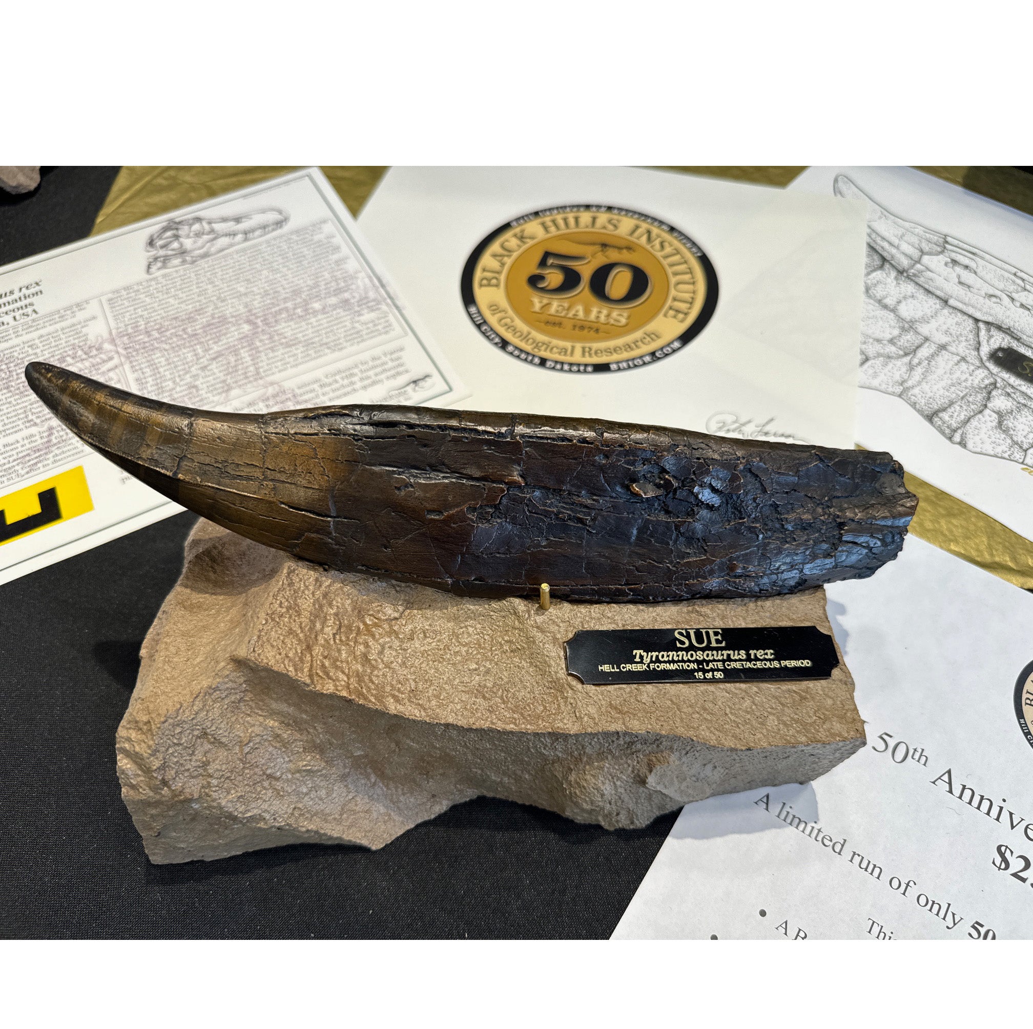 SUE Tyrannosaurus rex Bronze Tooth with Base - Special Edition