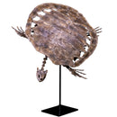 Toxochelys moorevillensis Skeleton - Display Replica