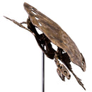 Toxochelys moorevillensis Skeleton - Display Replica