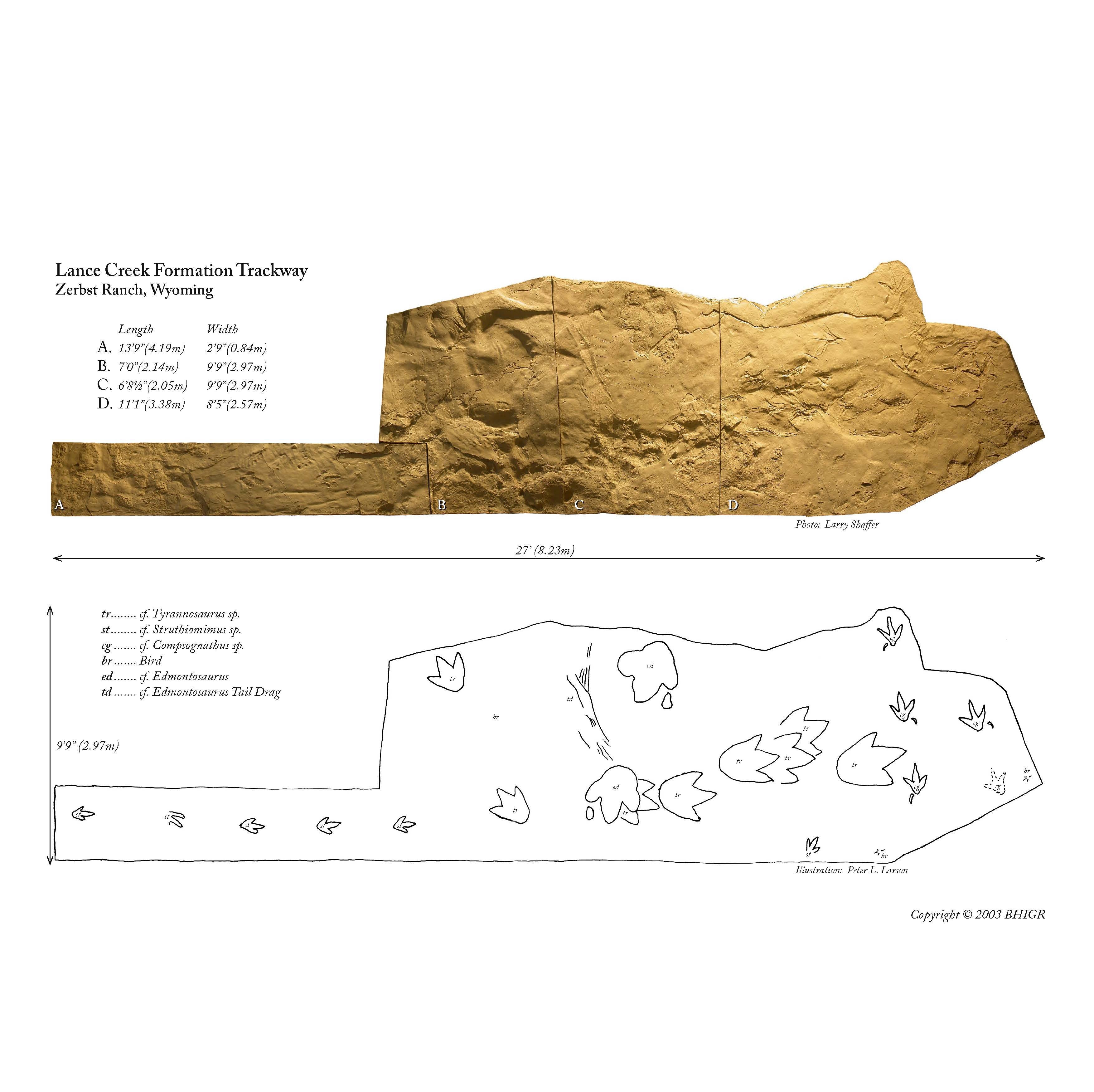 Zerbst Trackway - Solid Color Replica