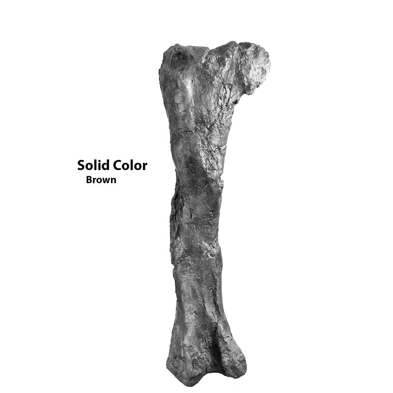Tyrannosaurus rex Left Femur - Gracile (Male) - Solid Color Replica