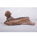 Triceratops horridus Dentary - Display Replica