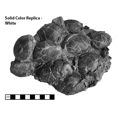 Turtle Egg Clutch In Situ - Solid Color Replica