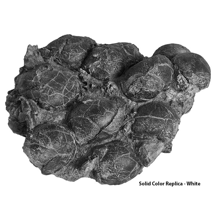 Turtle Egg Clutch In Situ - Solid Color Replica
