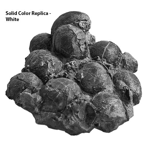 Turtle Egg Clutch In Situ - Solid Color Replica