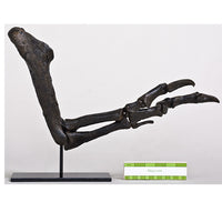 Tyrannosaurus rex Left Arm - Gracile (Male) on Steel Base - Display Replica
