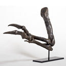 Tyrannosaurus rex Left Arm - Gracile (Male) on Steel Base - Display Replica