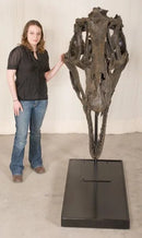 Acrocanthosaurus atokensis Skull - Display Replica