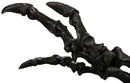 Acrocanthosaurus atokensis Right Arm - Display Replica